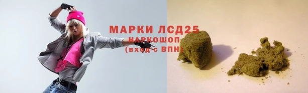индика Краснотурьинск