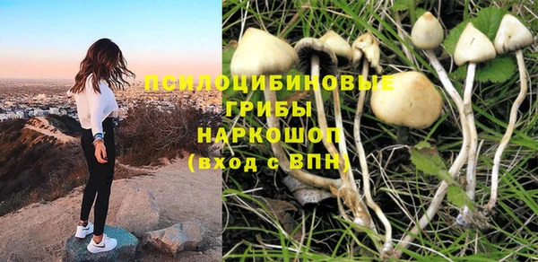 ALPHA PVP Коряжма