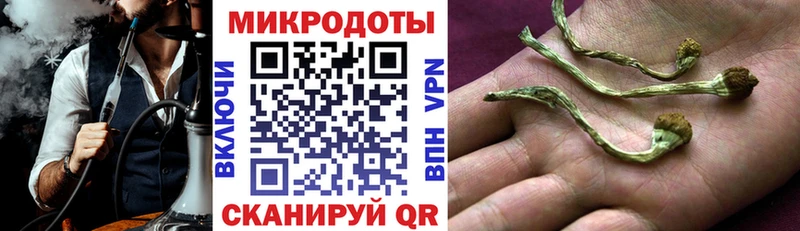 Купить  Горнозаводск  Галлюциногенные грибы мухоморы 